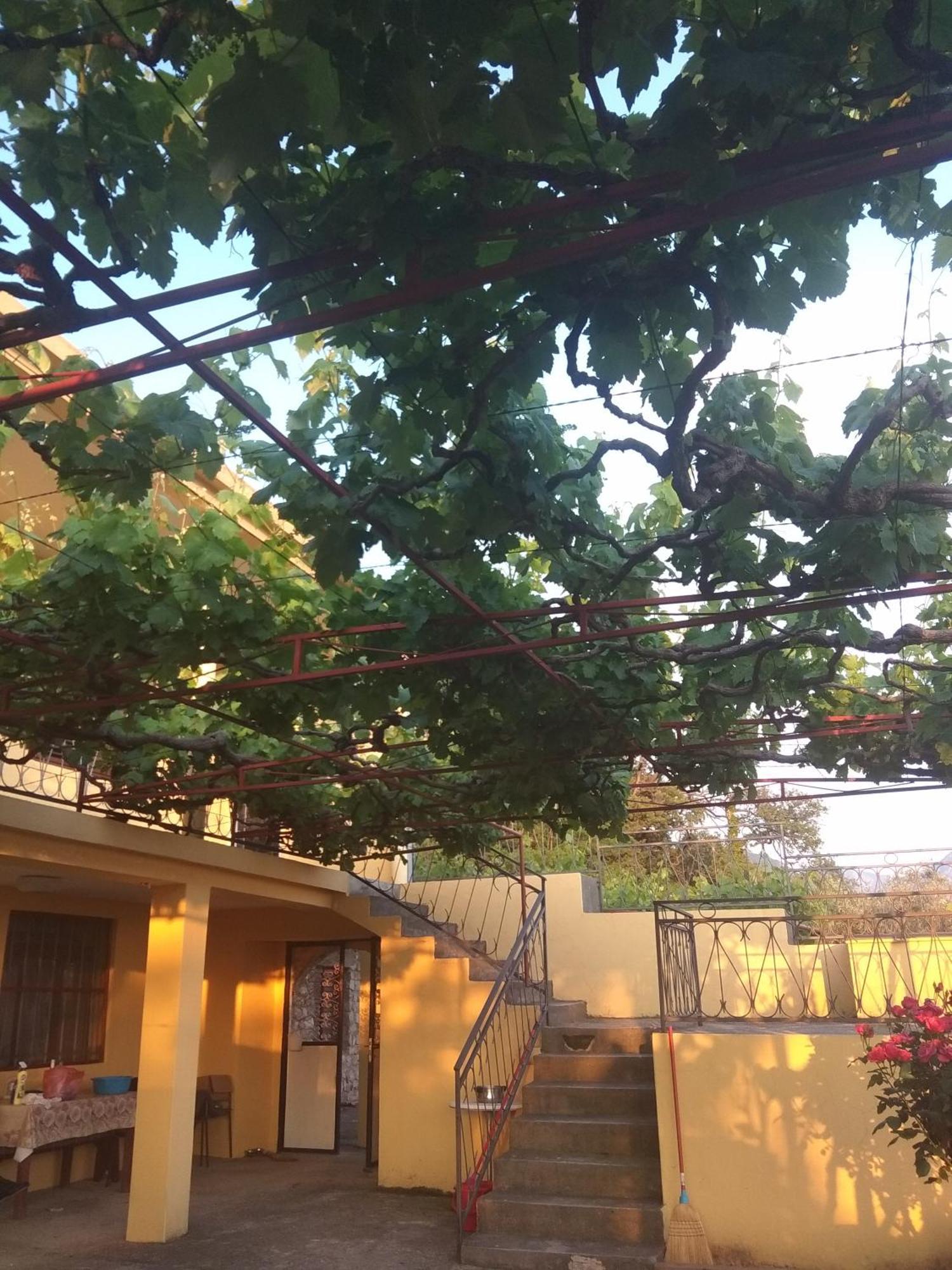 Apartman Marko Bar Bagian luar foto