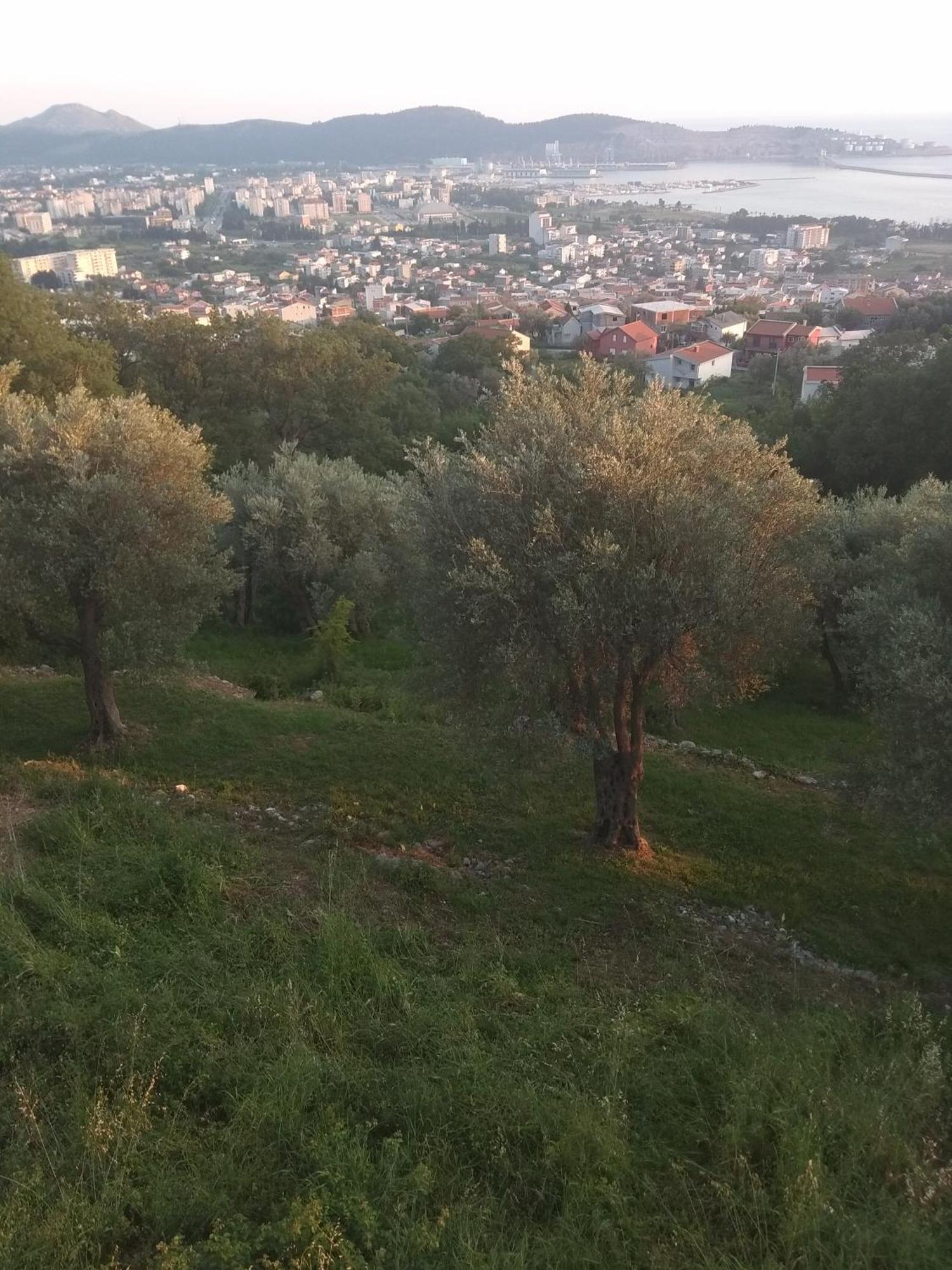 Apartman Marko Bar Bagian luar foto