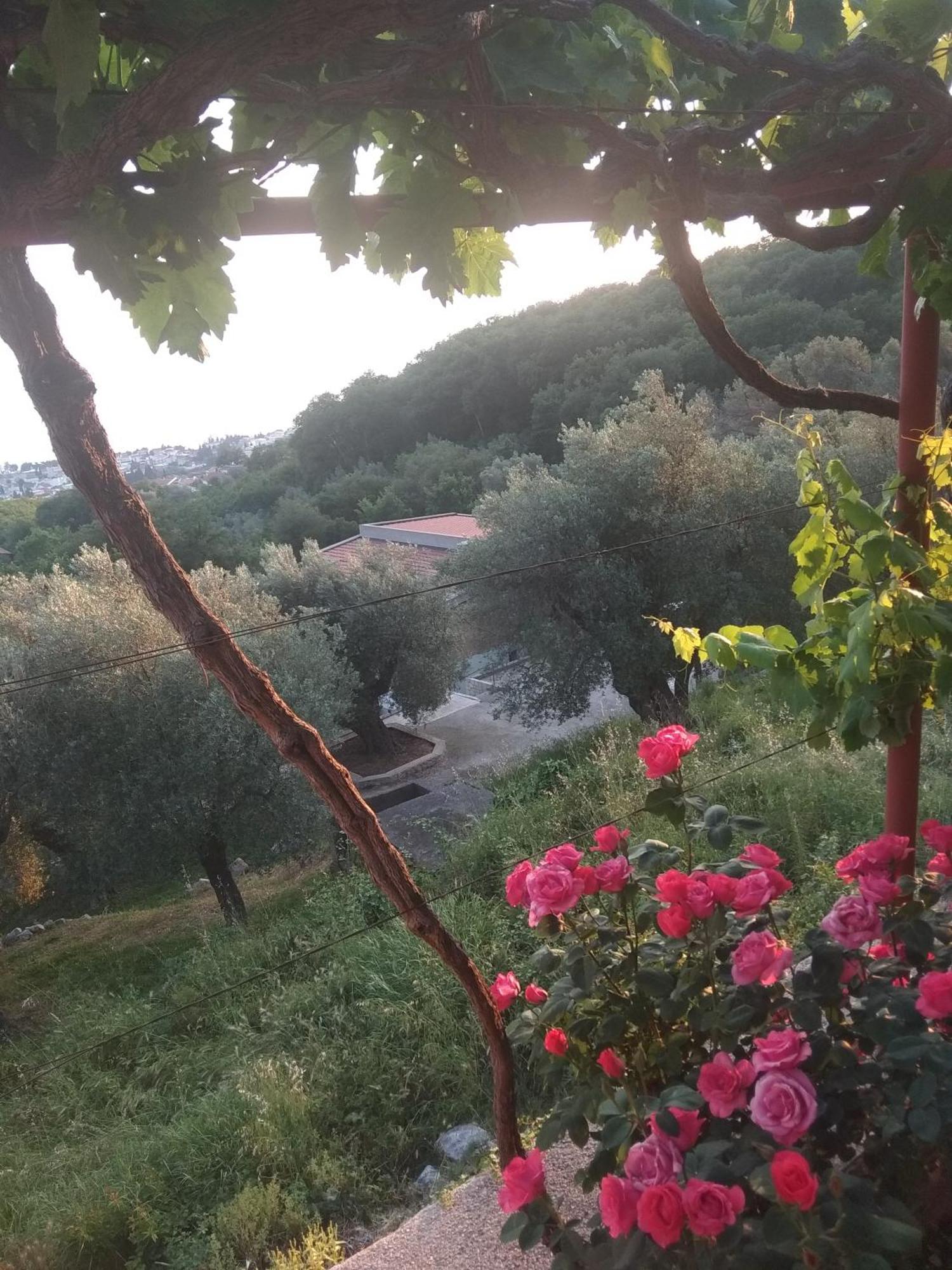 Apartman Marko Bar Bagian luar foto
