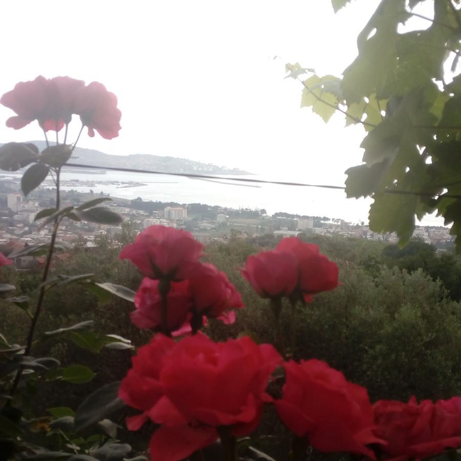 Apartman Marko Bar Bagian luar foto